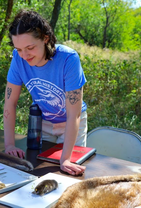 Concise, descriptive alt text for the image