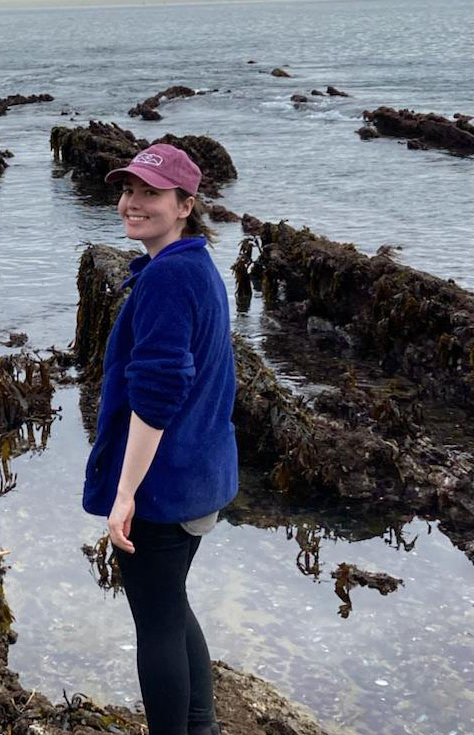 Concise, descriptive alt text for the image