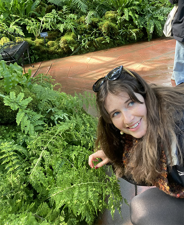 Concise, descriptive alt text for the image