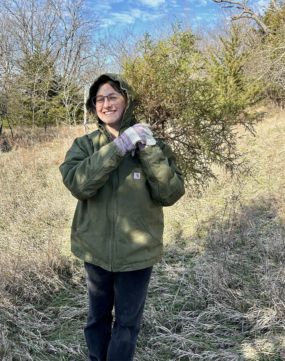 Concise, descriptive alt text for the image