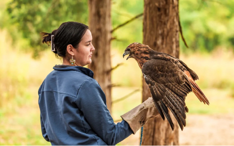 Concise, descriptive alt text for the image