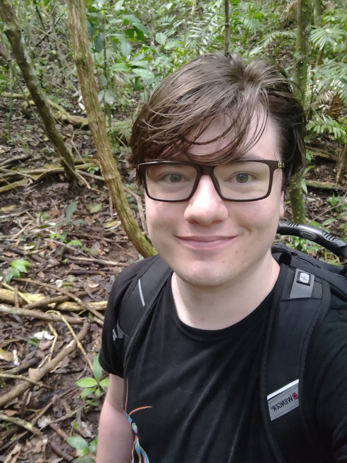 Concise, descriptive alt text for the image