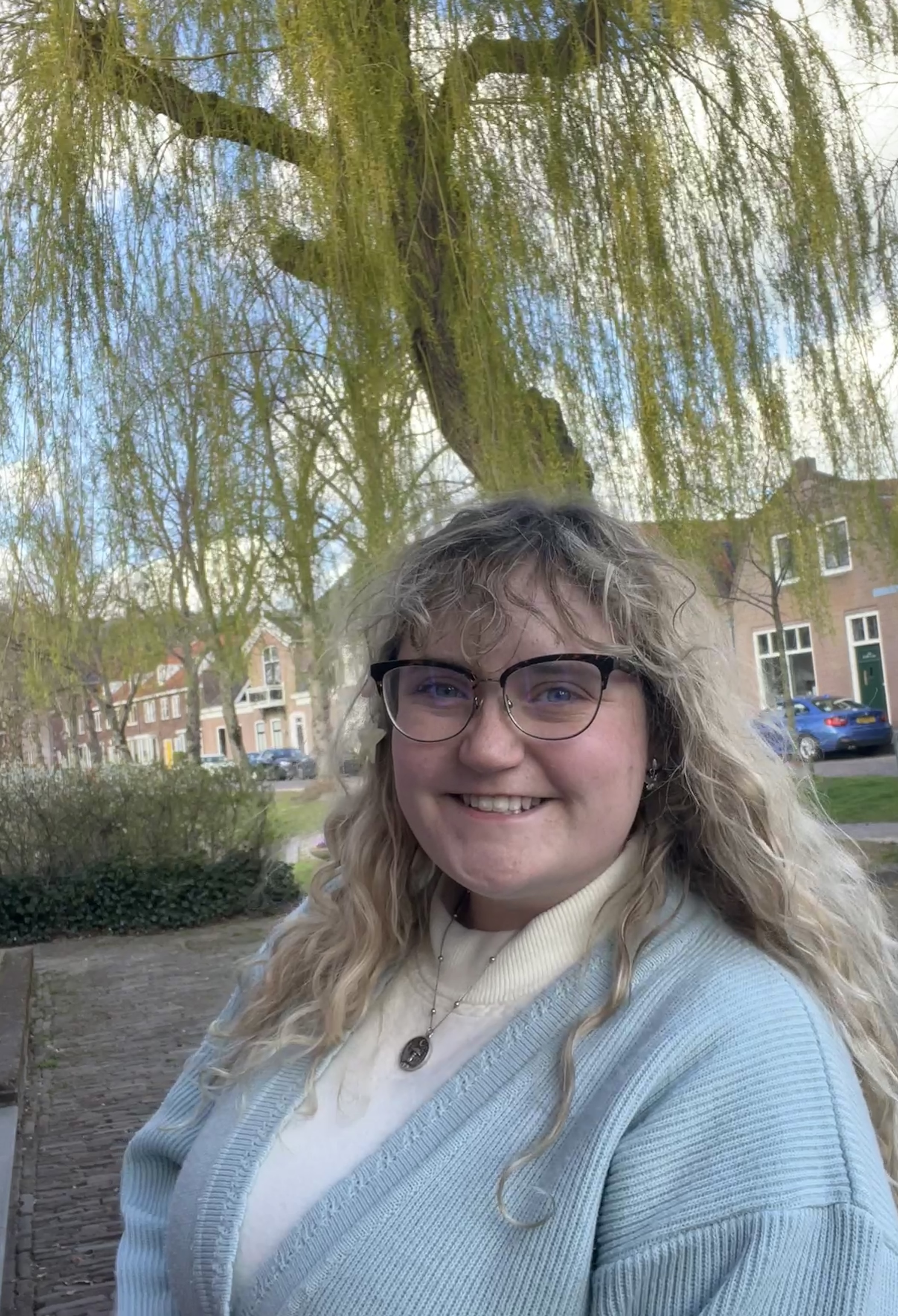 Concise, descriptive alt text for the image